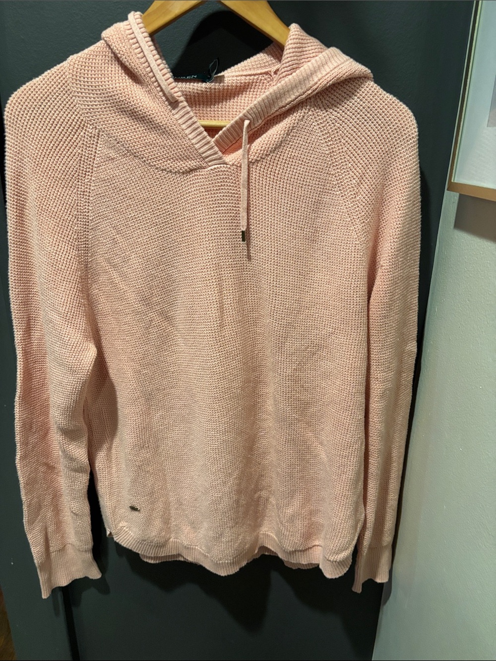Ralph Lauren Pink Hooded Knit Pullover
